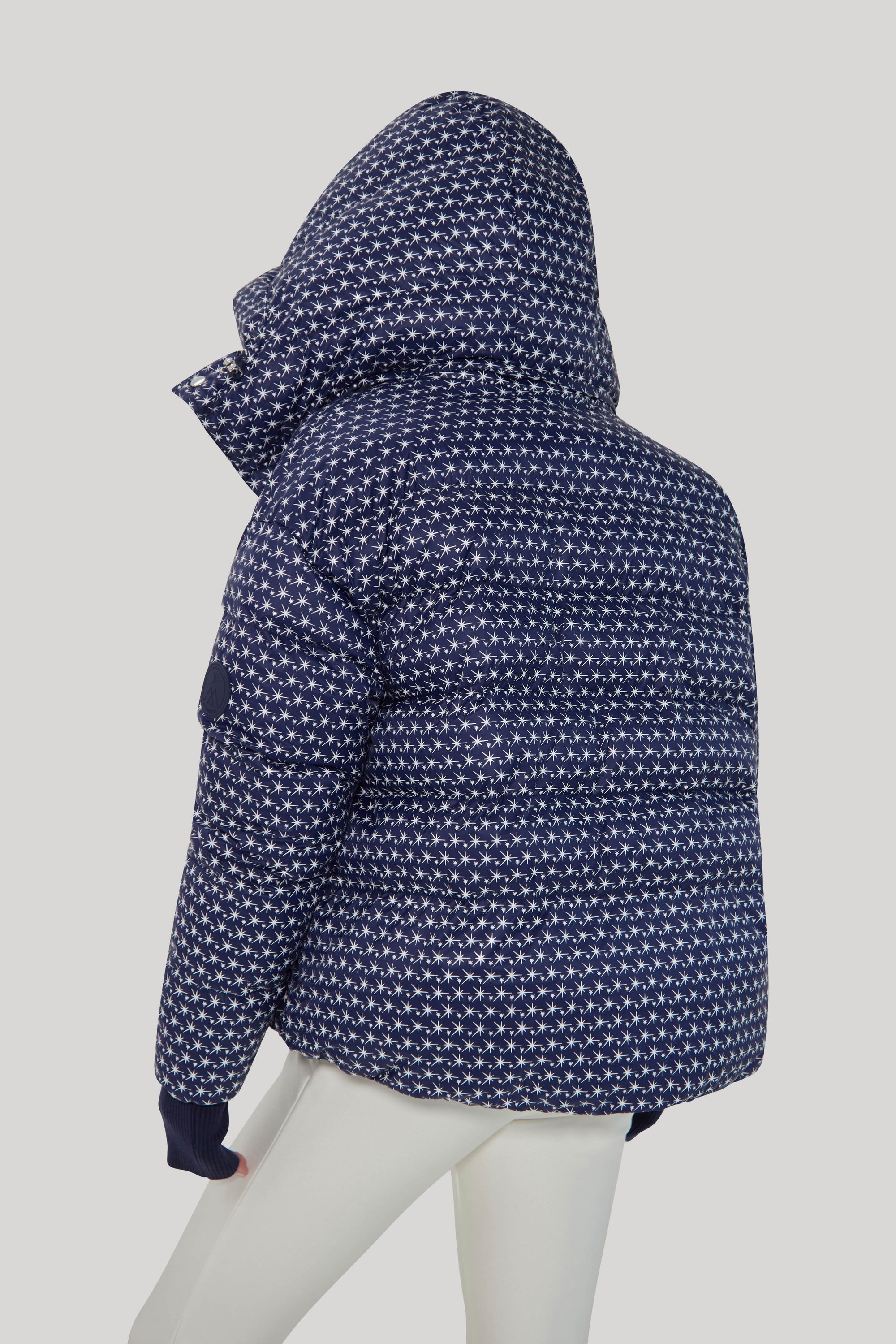 Apricity Ski Jacket - Navy / White