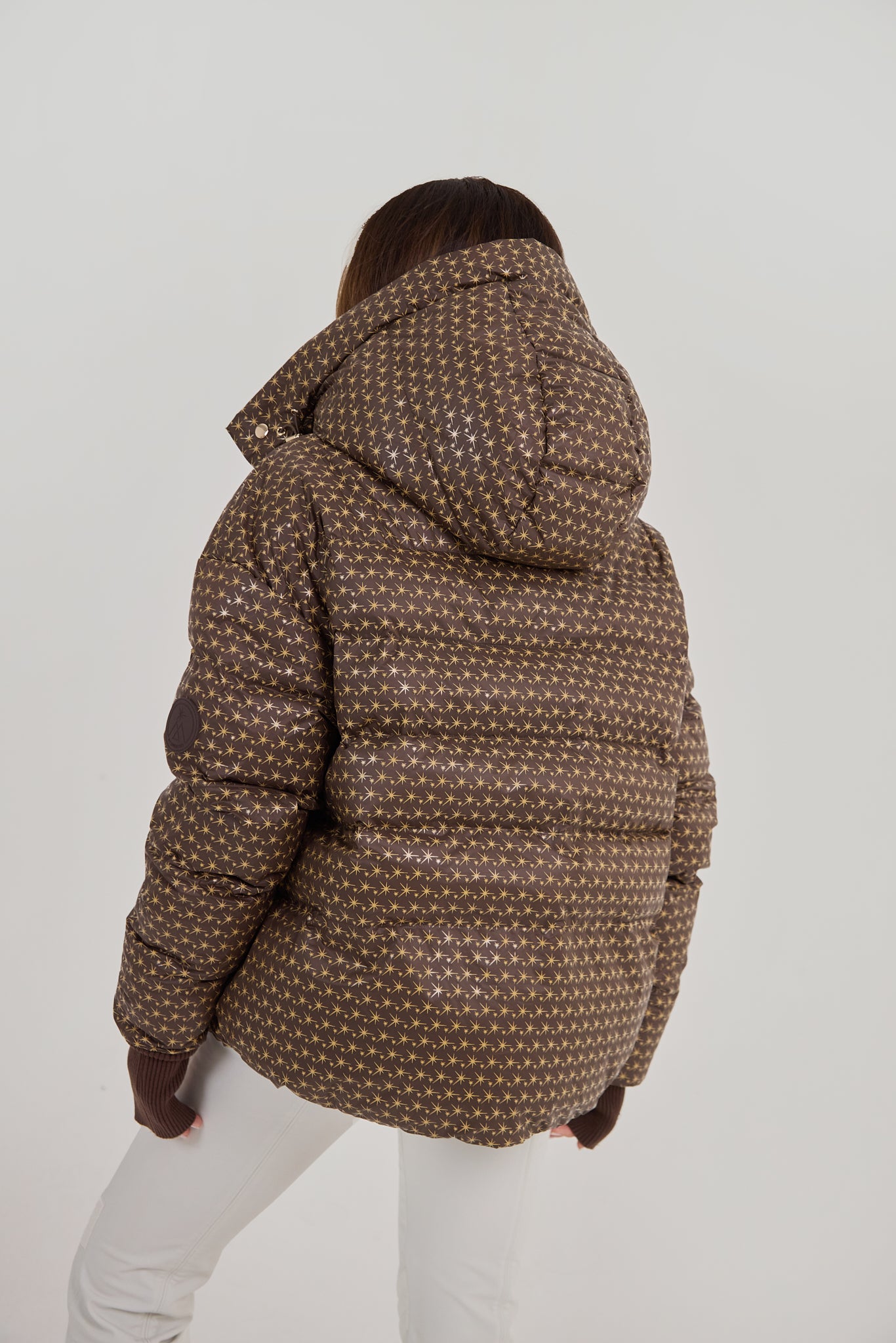 Apricity Ski Jacket - Chocolate / Gold