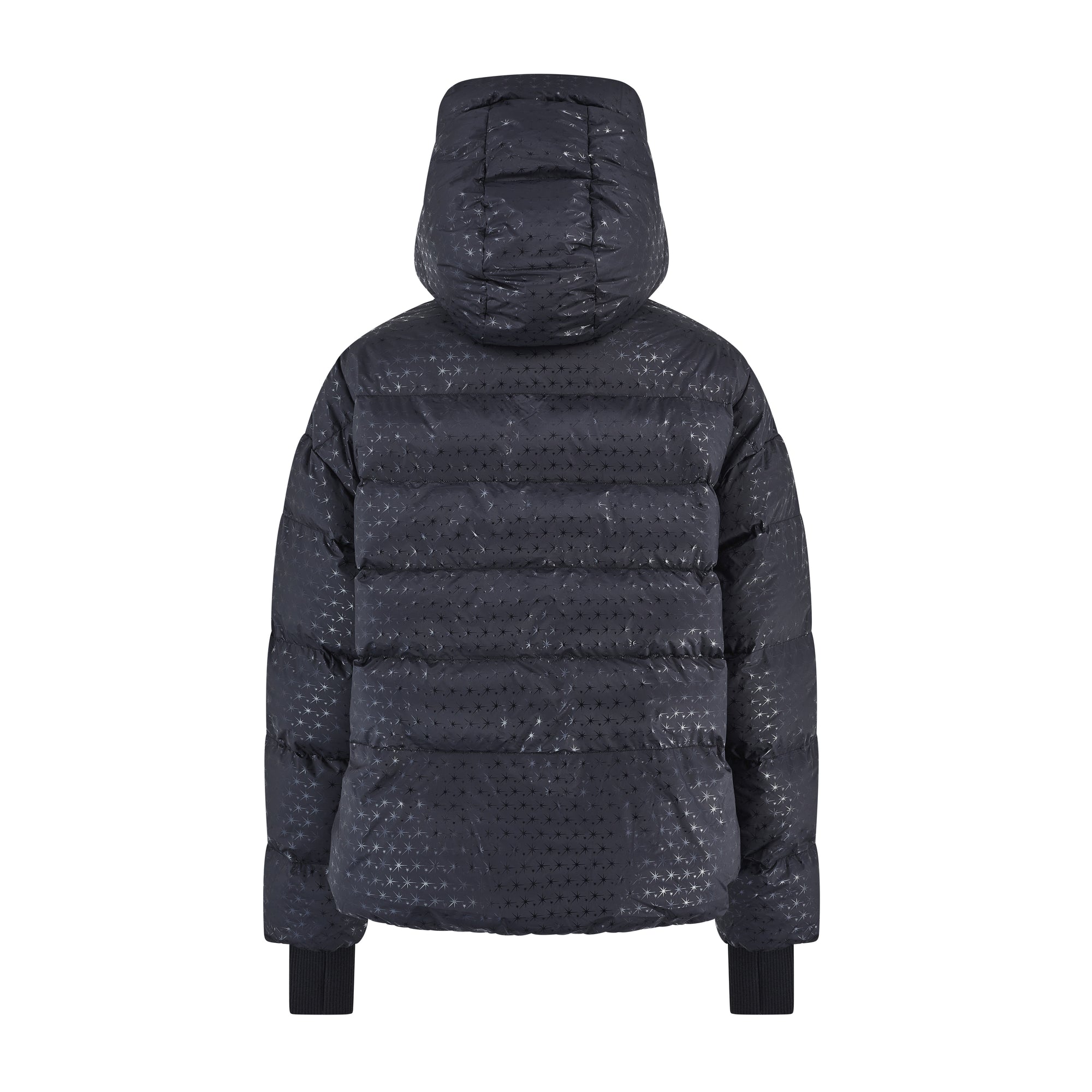 Apricity Ski Jacket - Black