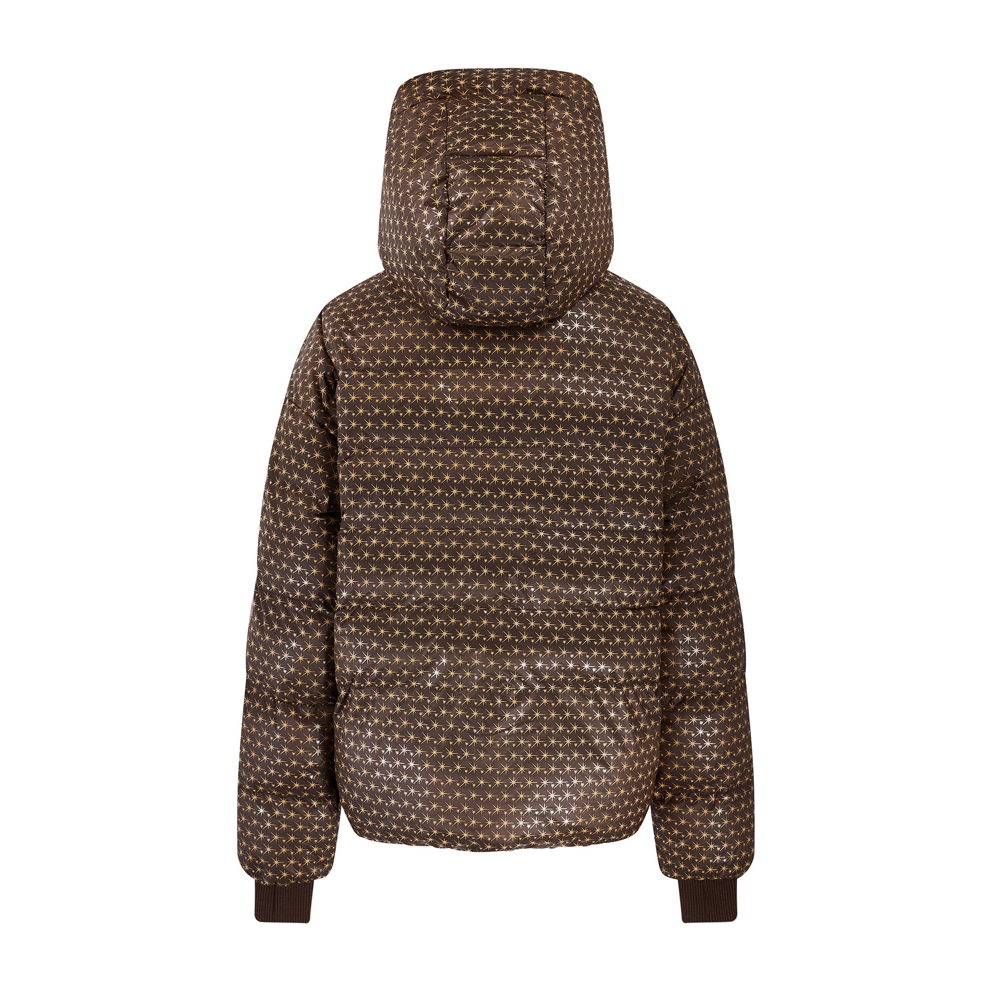 Apricity Ski Jacket - Chocolate / Gold