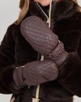 Wanderlust Shearling Ski Mittens - Chocolate